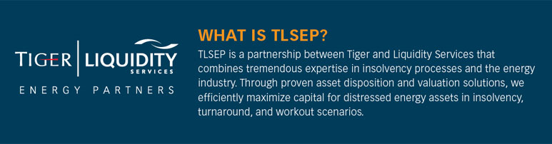 what is TLSEP