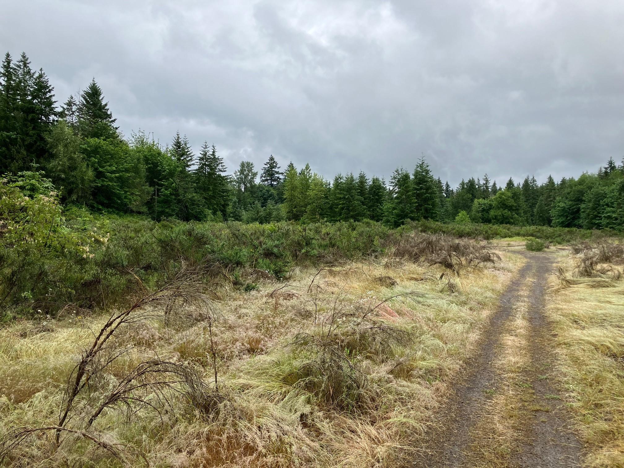 28998_1_17f654f2-c8e2-40cd-bcd0-f615825c84c6_clean