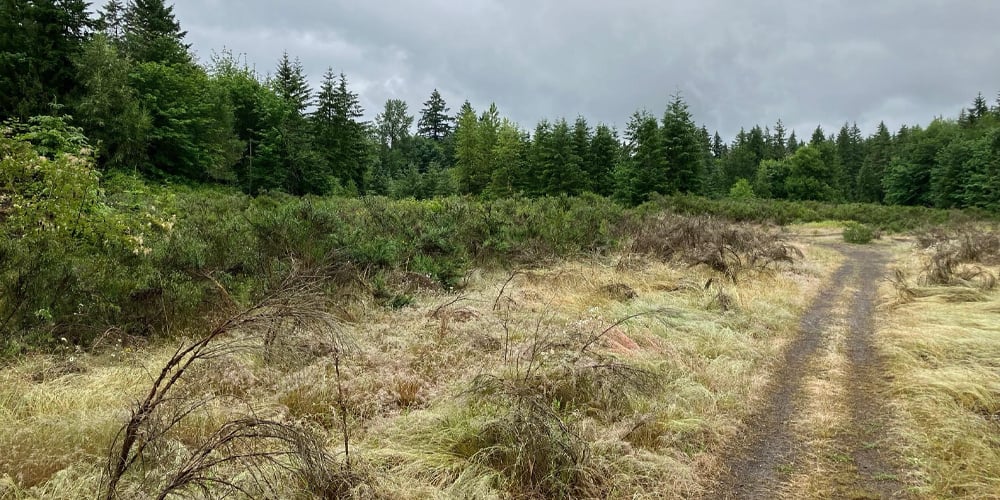 Corporate-Site---Case-Study-Dec-12-2025-07-23-54-2432-PM