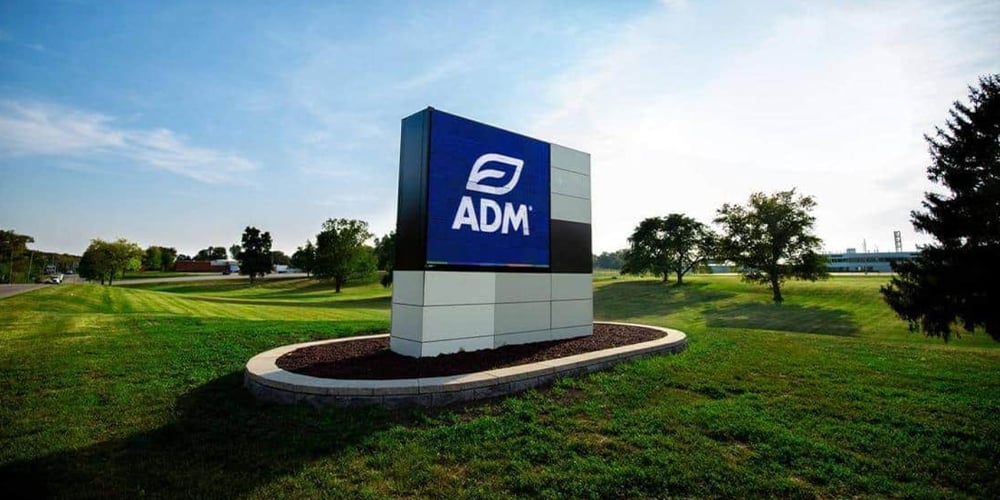 Corporate-Site---Case-Study-Oct-17-2025-07-29-24-9831-PM