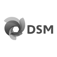 DSM-Logo-removebg-preview