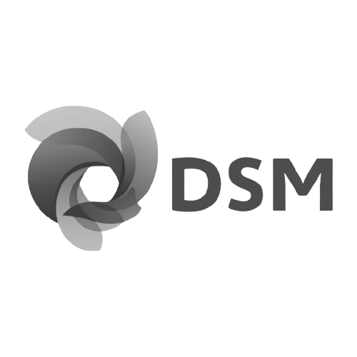 DSM-Logo-removebg-preview