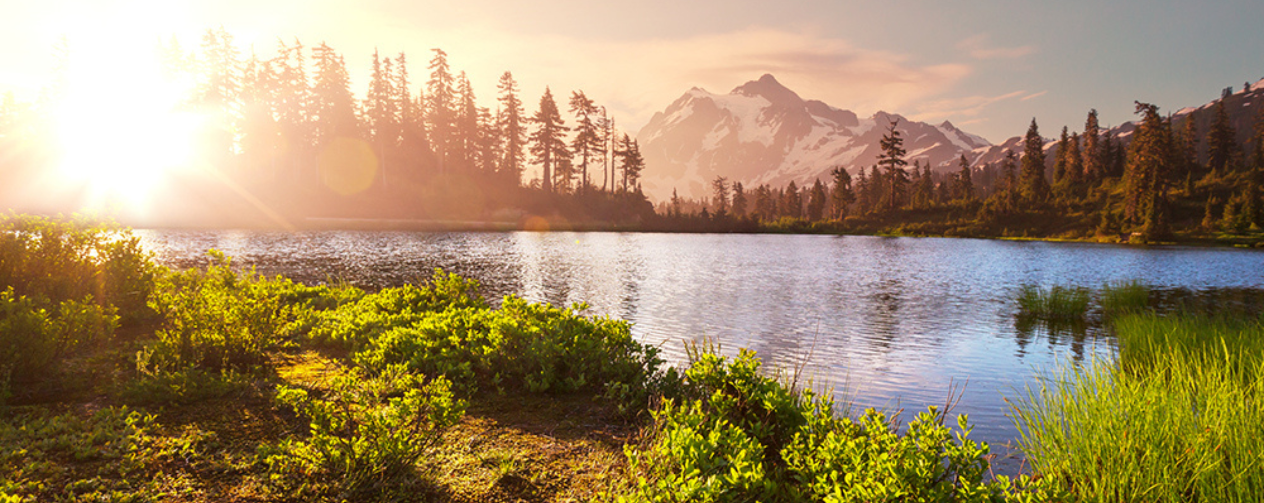 Case-Study-Hero-Image