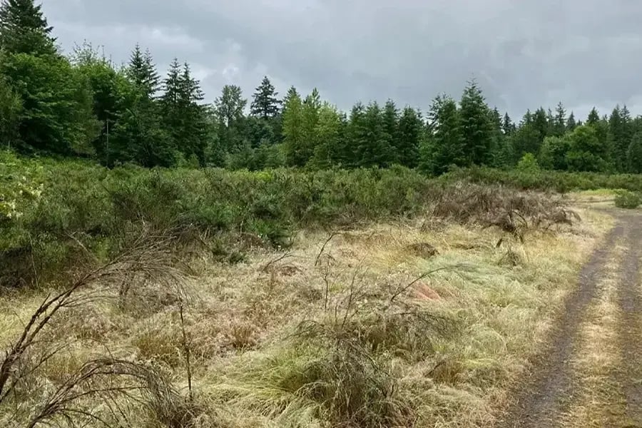 Jefferson County’s First Online Real Estate Auction Generates Nearly $400K for Decommissioned Gravel Pit-1