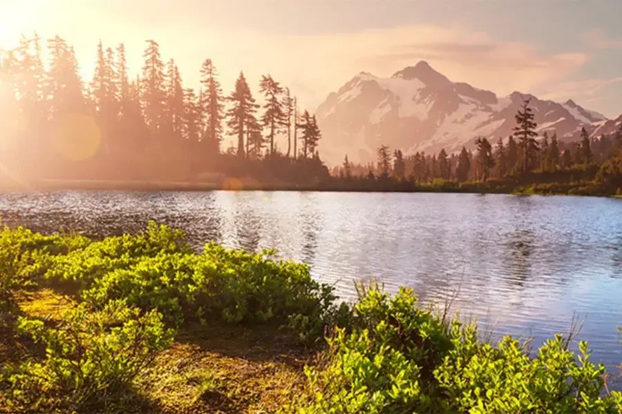 The Evolution of a Surplus Program- How the State of Washington revitalized its surplus services with the help of GovDeals