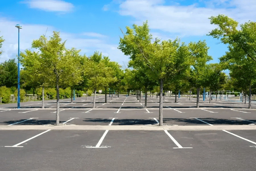 The Smarter Exit Strategy- Selling State Vehicles Through Public Auction