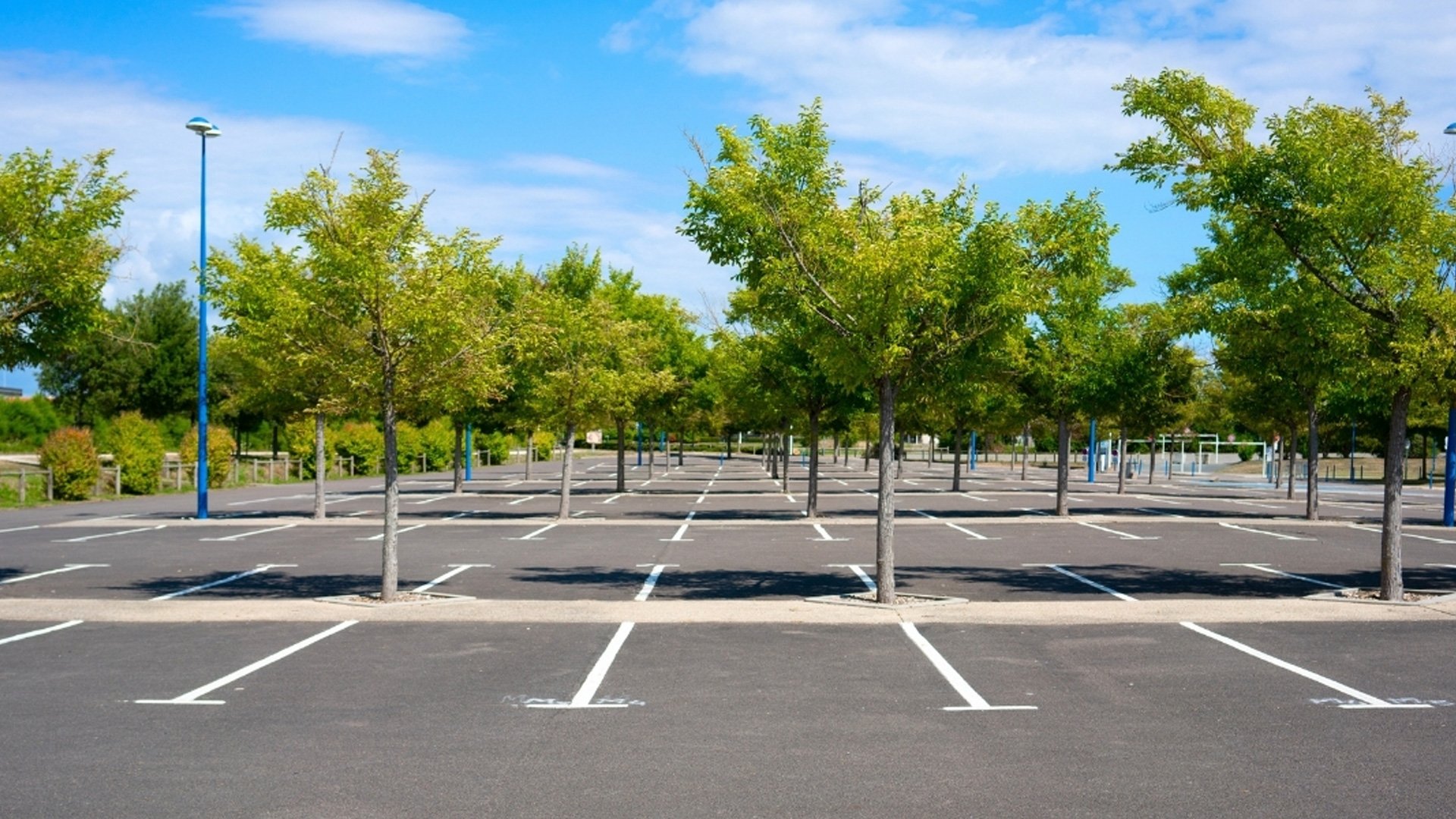 The-Smarter-Exit-Strategy--Selling-State-Vehicles-Through-Public-Auction