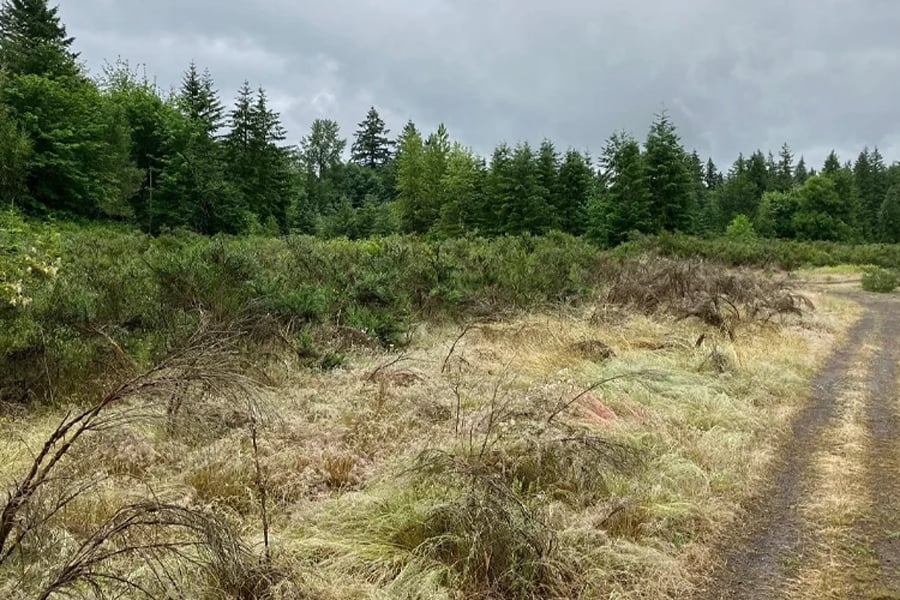 Turning-Surplus-Land-into-Opportunity