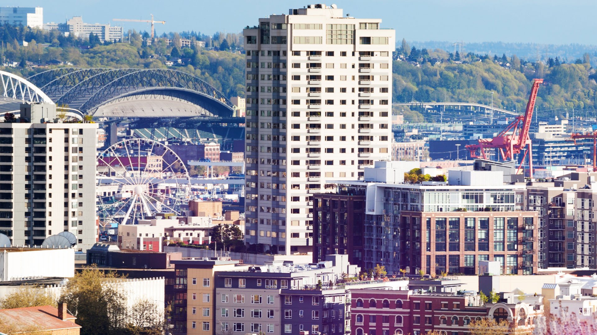 Untitled-2-Feb-11-2025-04-44-12-9941-PM