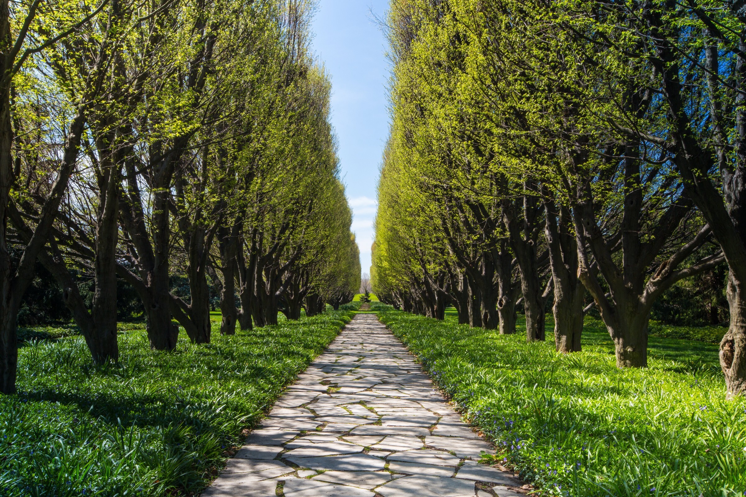 botanical_gardens