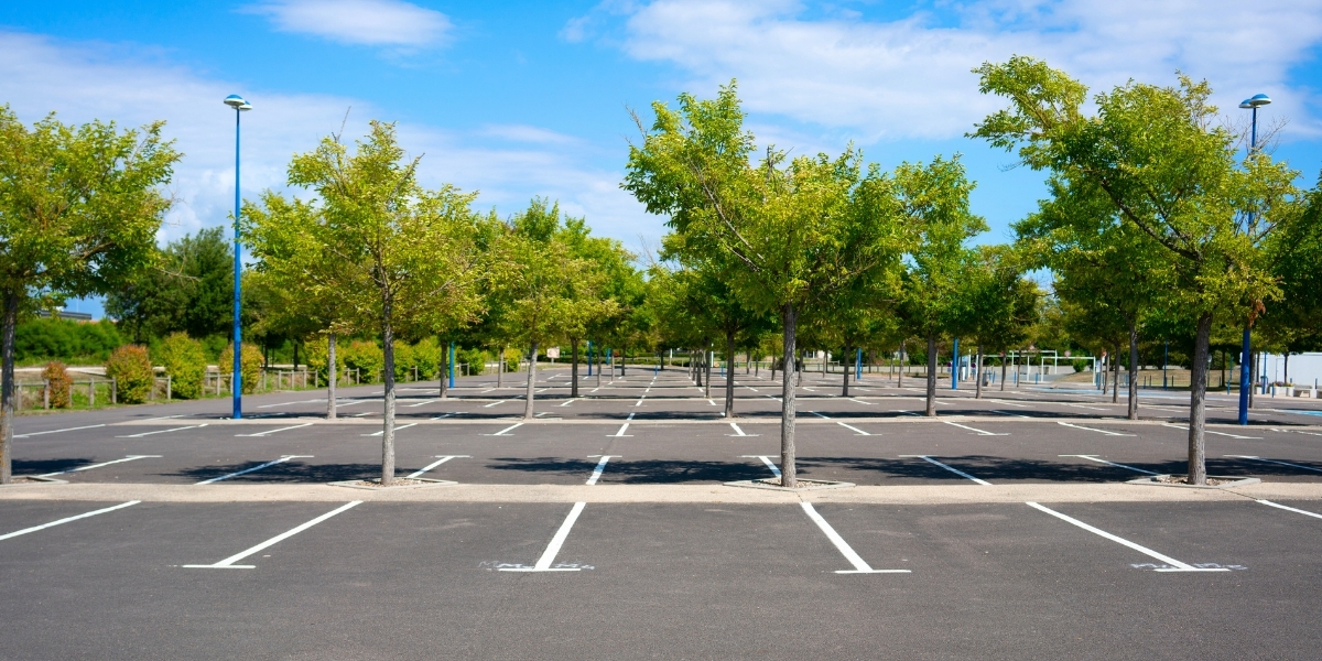 The Smarter Exit Strategy: Selling State Vehicles Through Public Auction